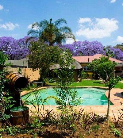1322 Backpackers International Vandrehjem Pretoria-Noord Eksteriør billede