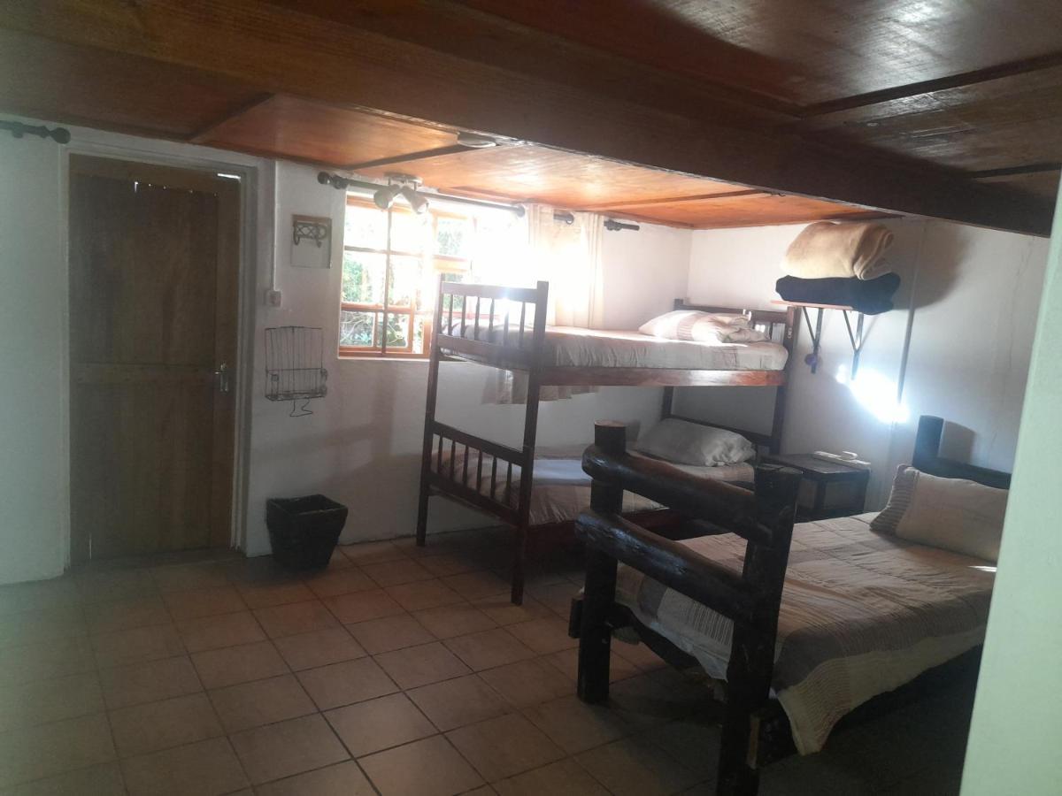 1322 Backpackers International Vandrehjem Pretoria-Noord Eksteriør billede